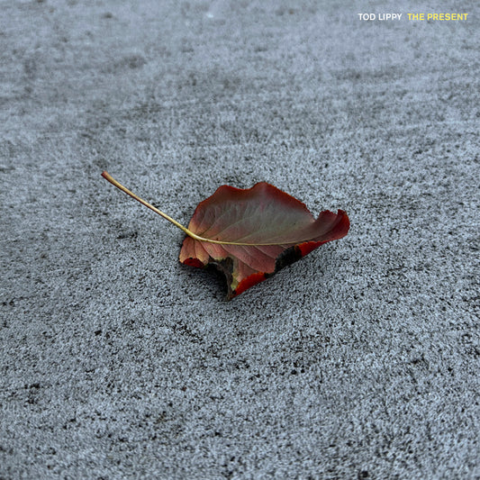 "THE PRESENT" LP